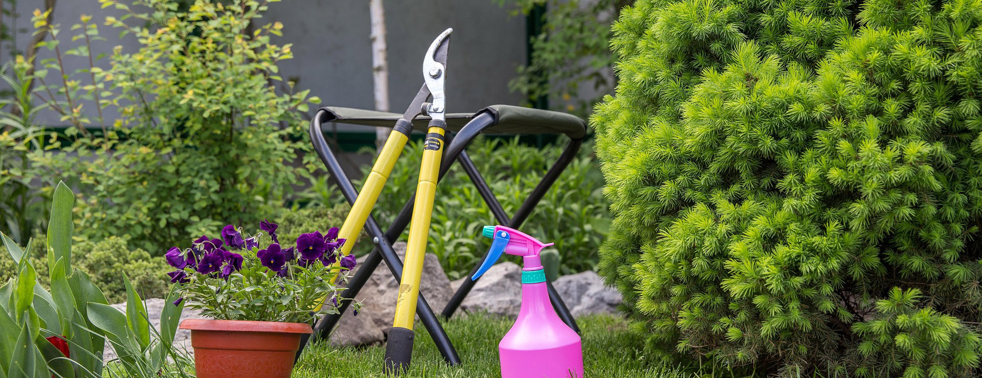 Odell & Co -Odell & Co gardening 6803875 1920