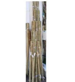 Garden Bamboo Canes